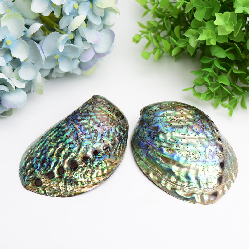 5.0 inch Aura Shell Free Form Zen Decor Accent