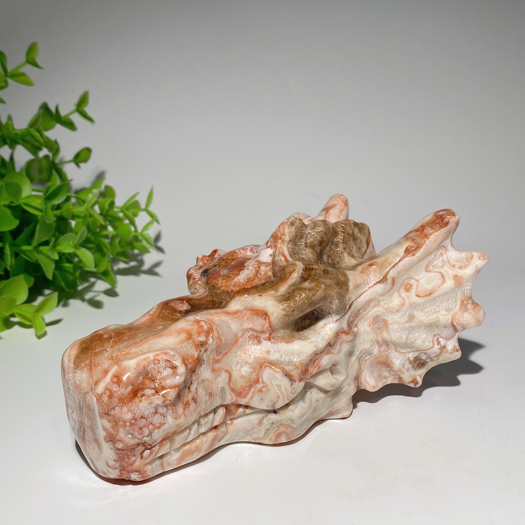 5.0 Inch Chocolate Calcite Crystal Dragon Head Carving