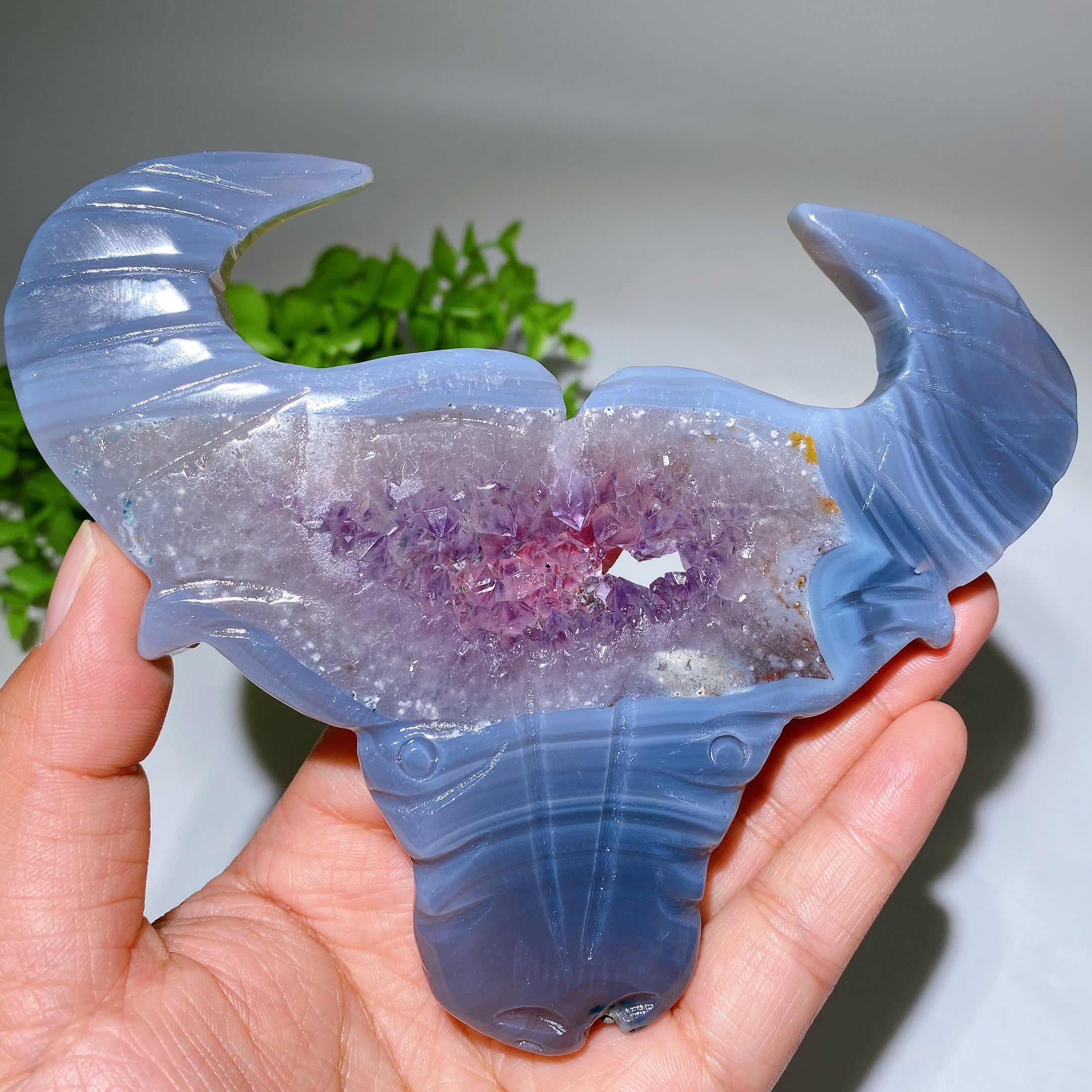 5.4-inch Druzy Amethyst Bull Head Crystal Figurine