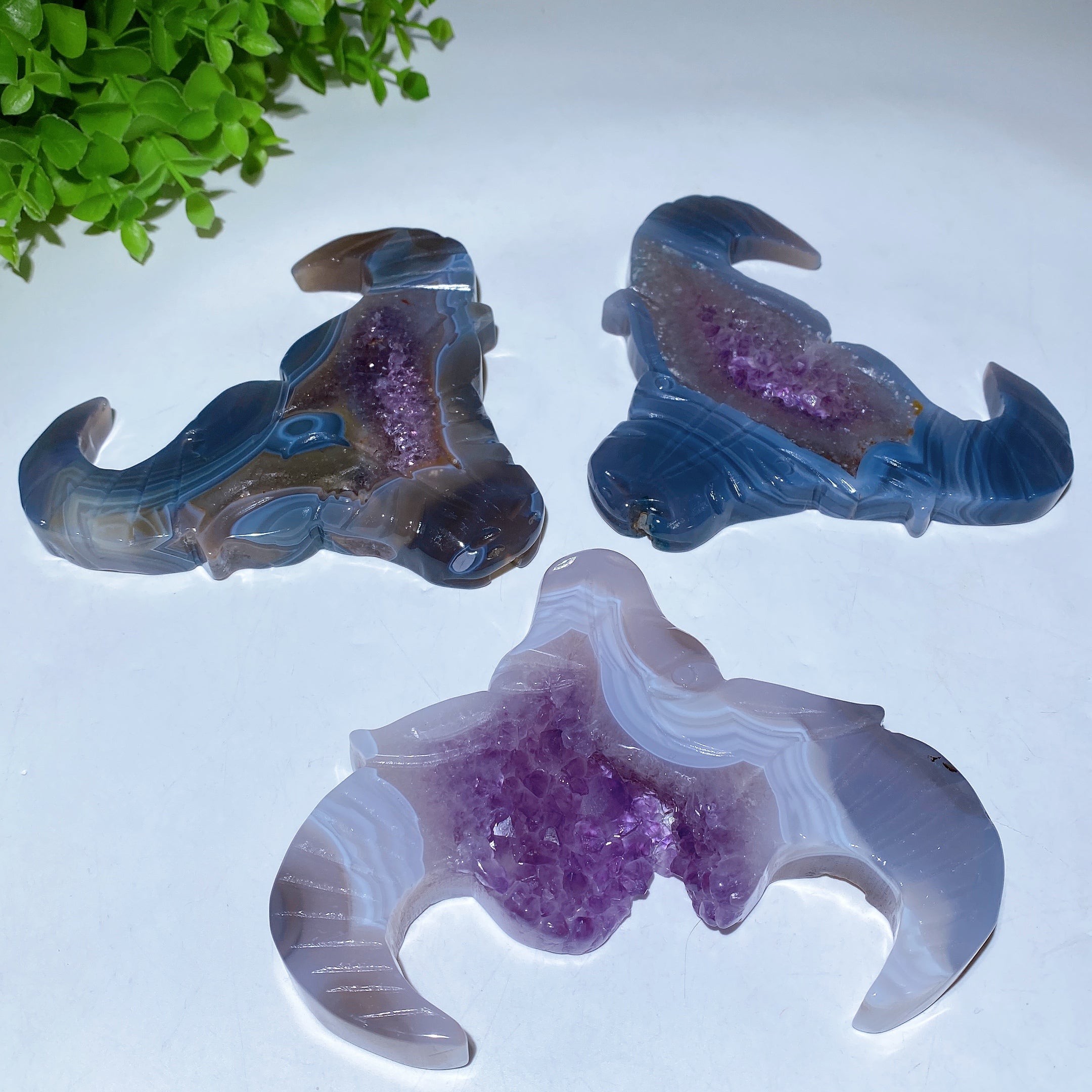 5.4-inch Druzy Amethyst Bull Head Crystal Figurine