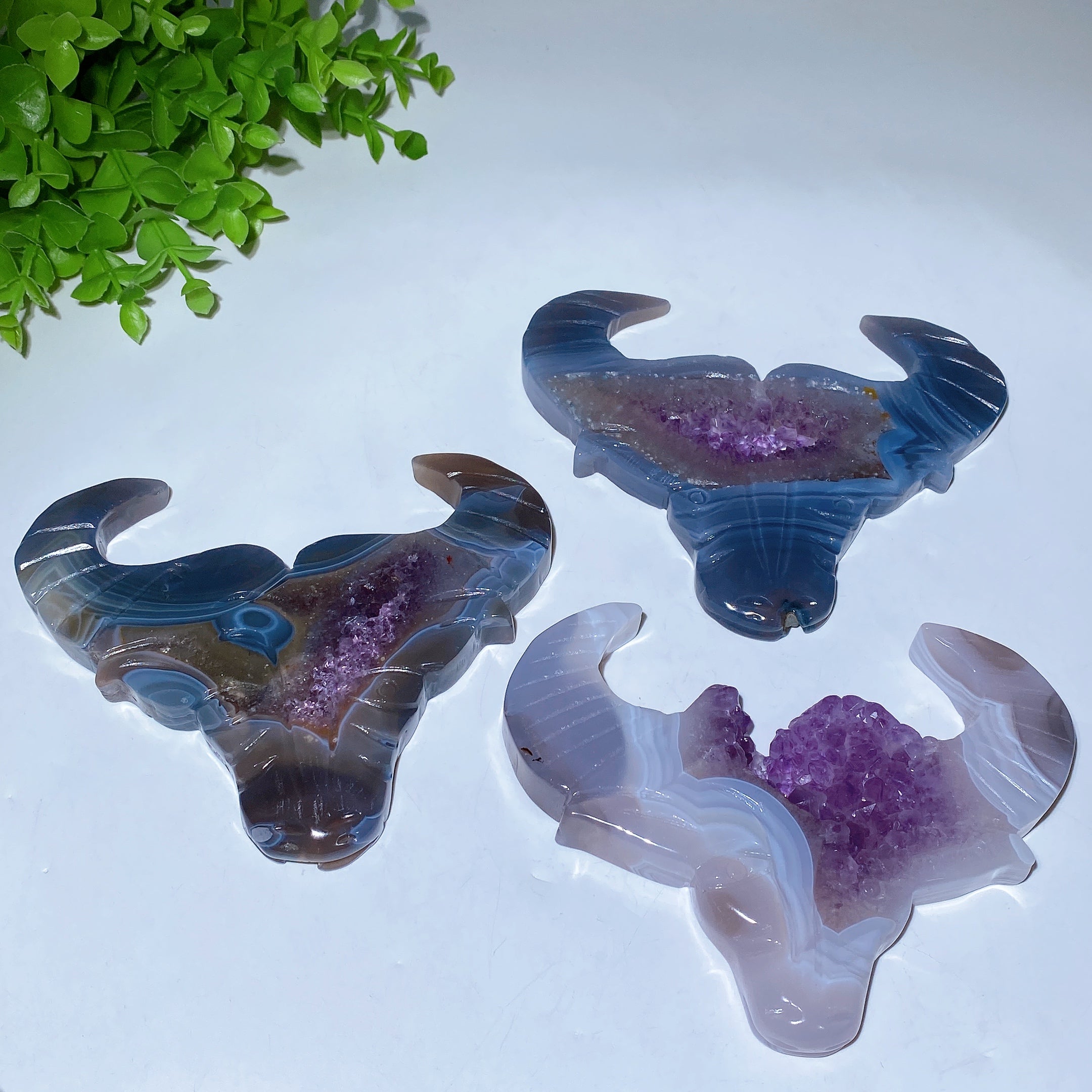 5.4-inch Druzy Amethyst Bull Head Crystal Figurine
