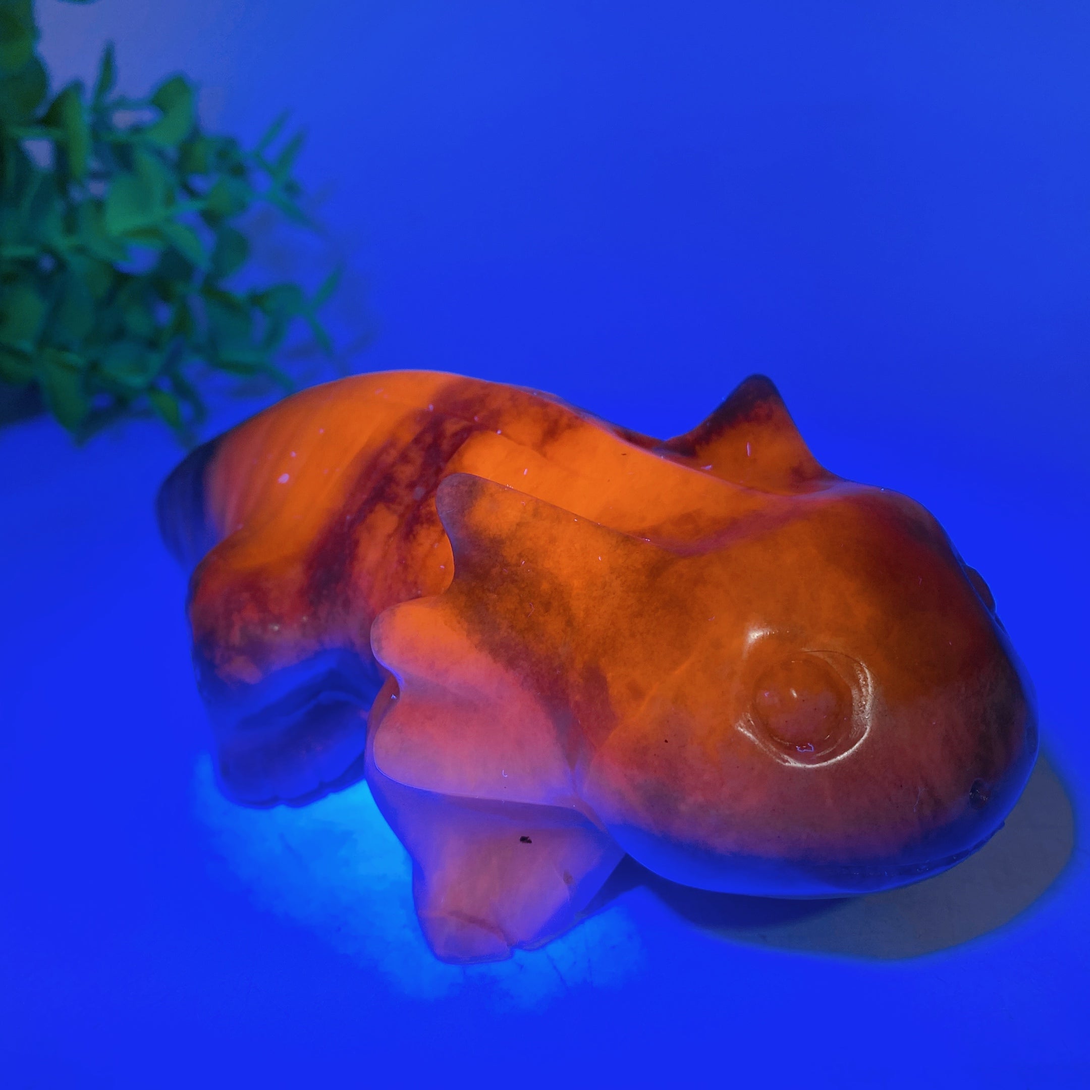 5.6 inch Crystal Salamander Figurine Carving for Healing