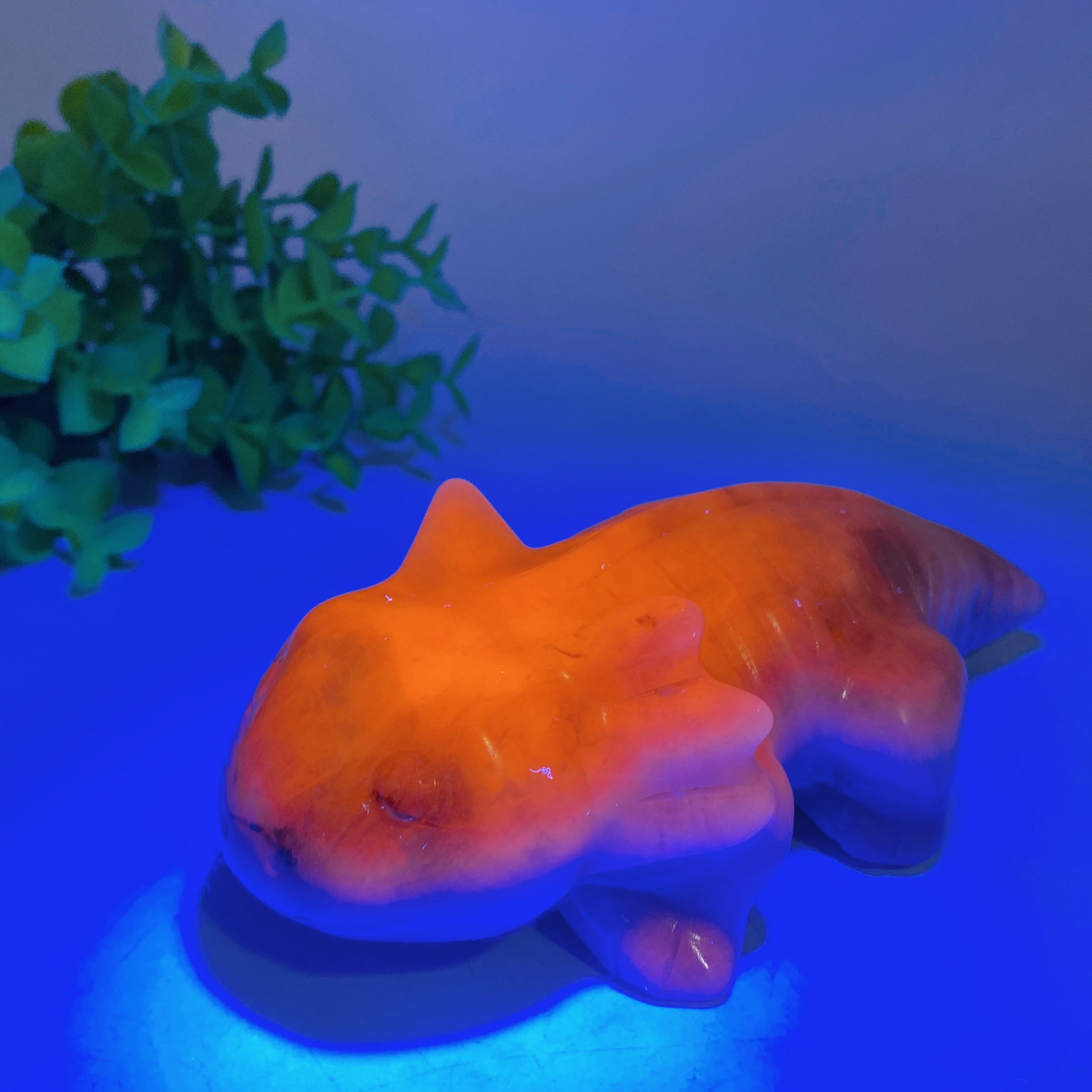 5.6 inch Crystal Salamander Figurine Carving for Healing