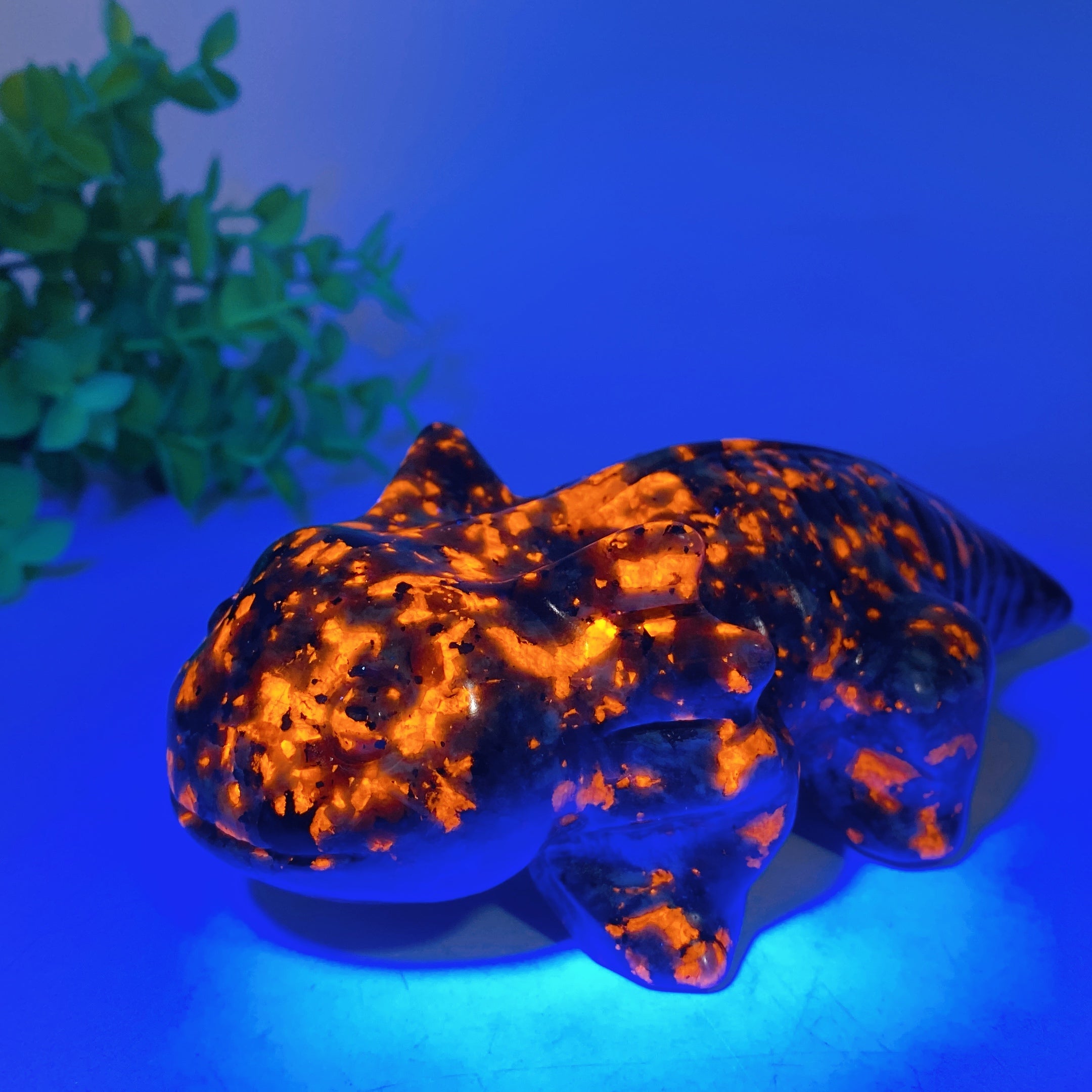 5.6 inch Crystal Salamander Figurine Carving for Healing
