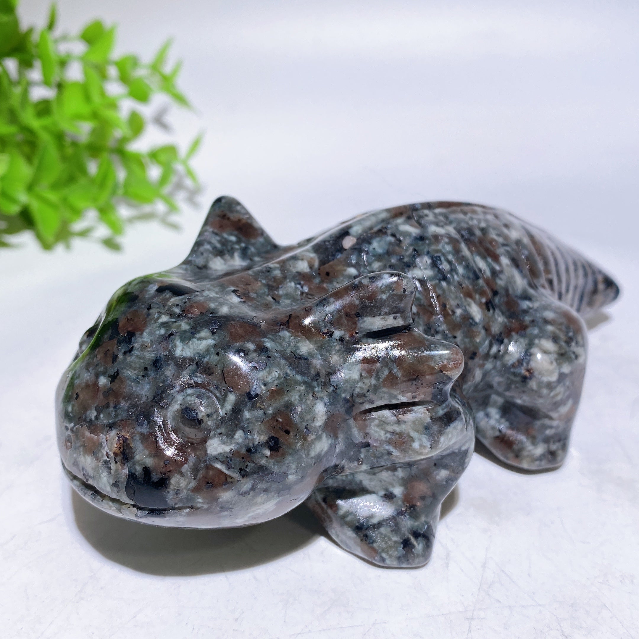 5.6 inch Crystal Salamander Figurine Carving for Healing