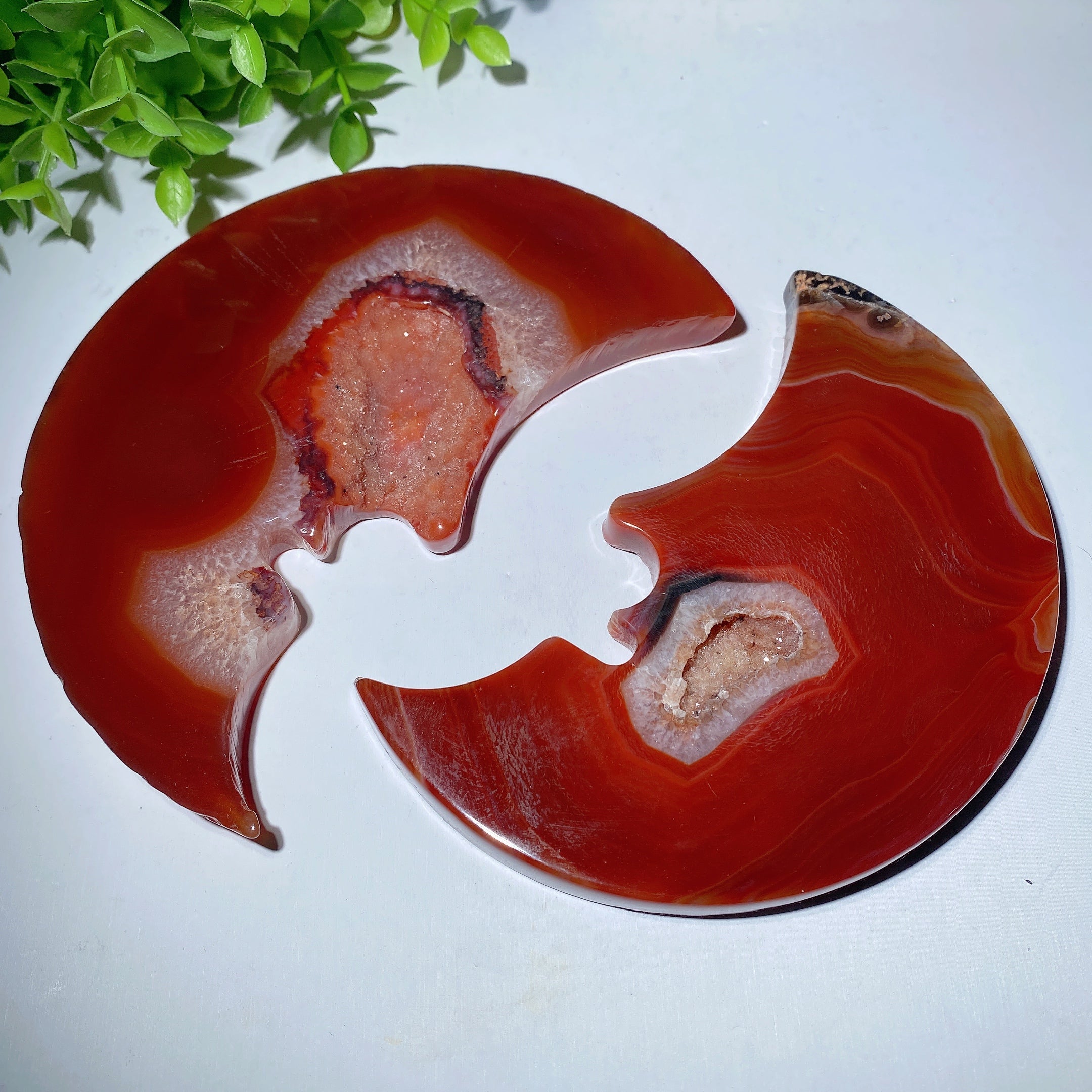 5 Inch Druzy Carnelian Moon Carving for Crystal Decor