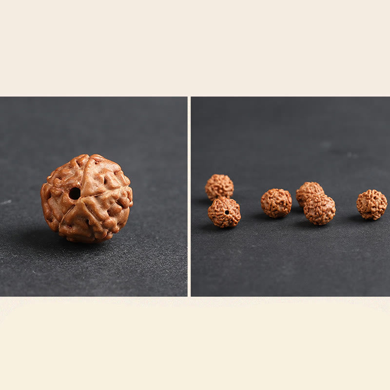 Unisex Pixiu Wealth Luck Bracelet with Rudraksha Bodhi Seed
