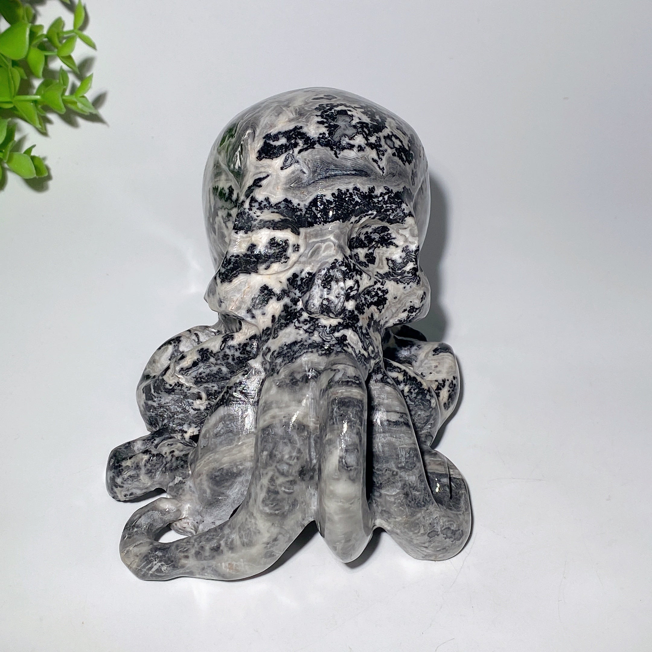 Figurine de crâne de pieuvre en pierre Picasso de 6,2 pouces
