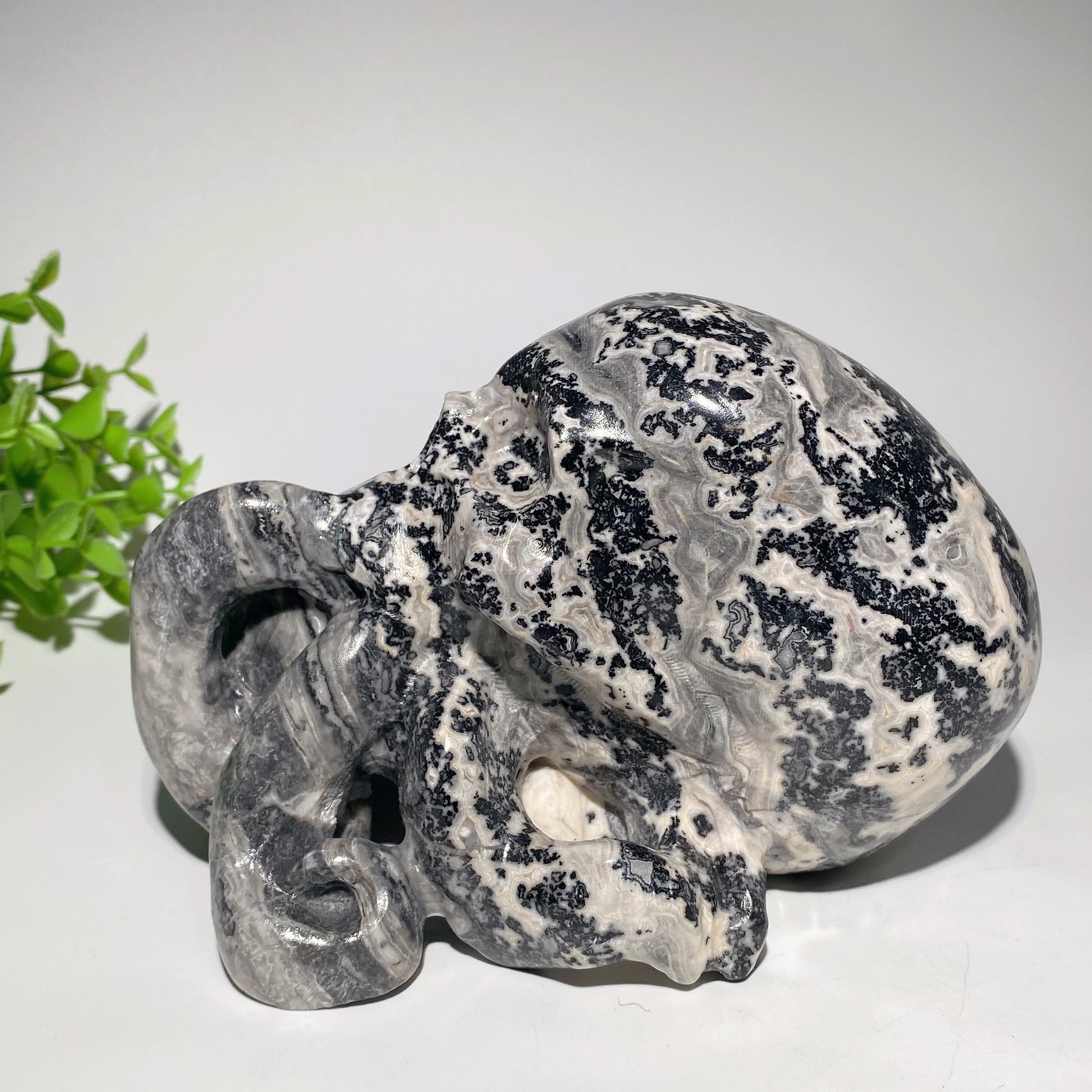Figurine de crâne de pieuvre en pierre Picasso de 6,2 pouces