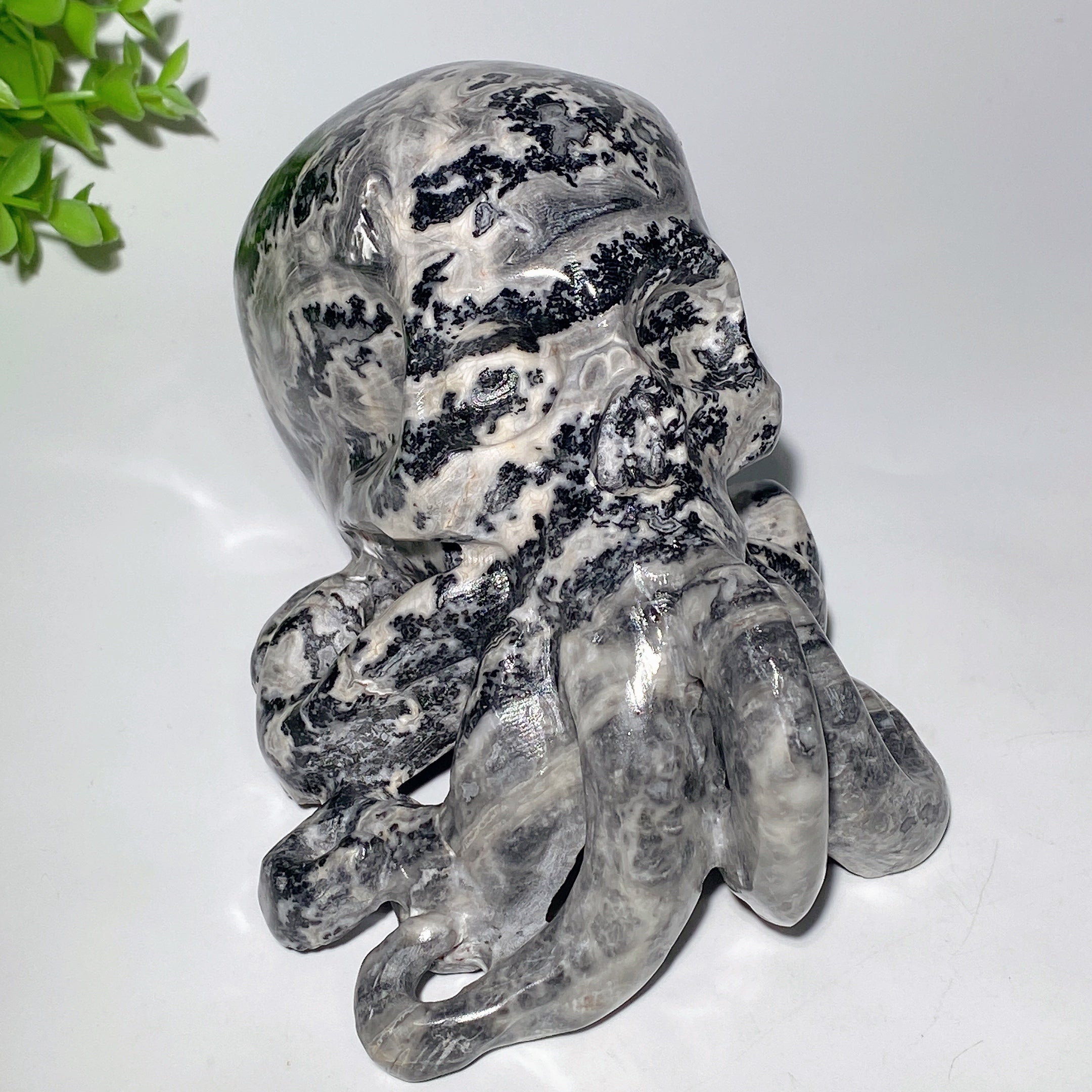 Figurine de crâne de pieuvre en pierre Picasso de 6,2 pouces