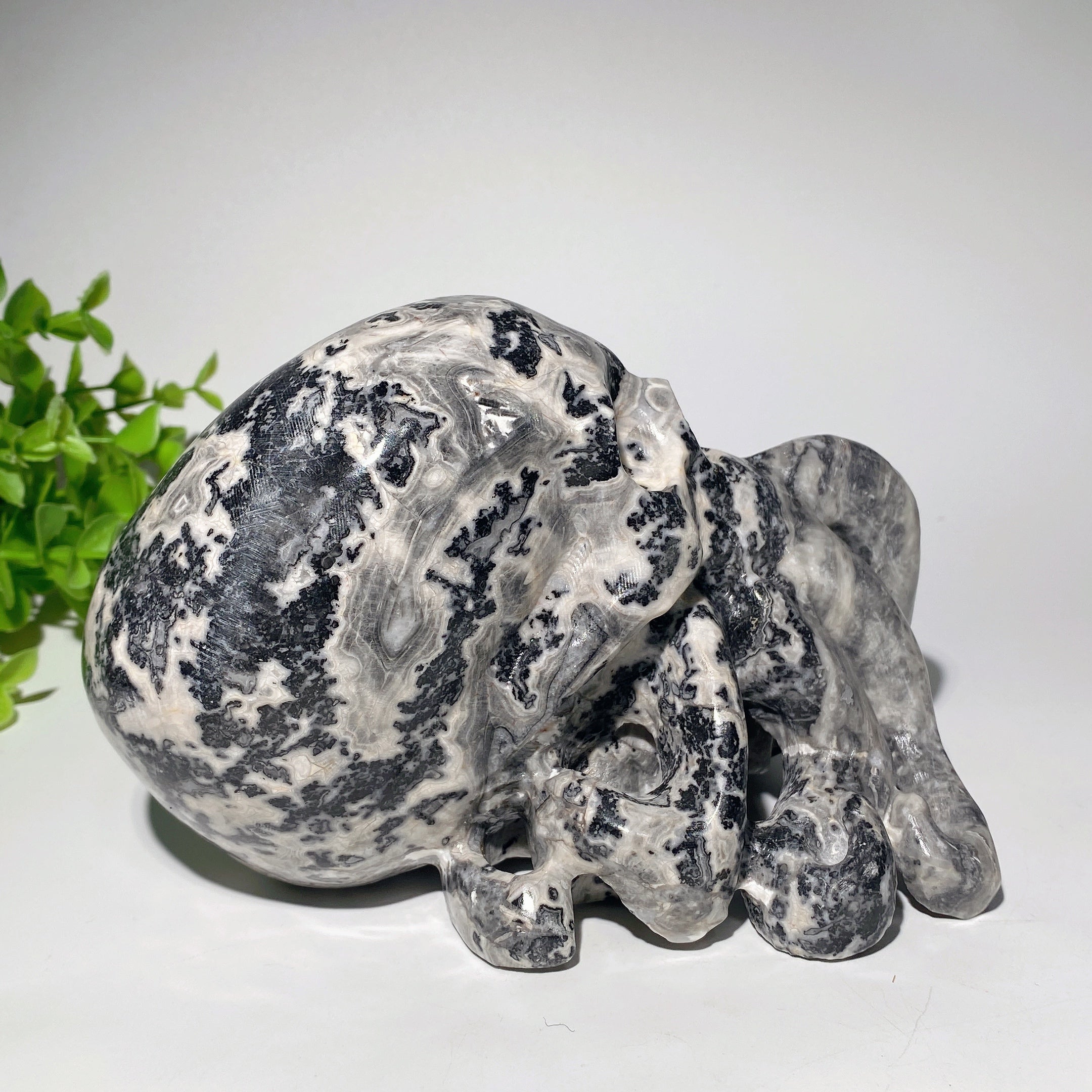 Figurine de crâne de pieuvre en pierre Picasso de 6,2 pouces
