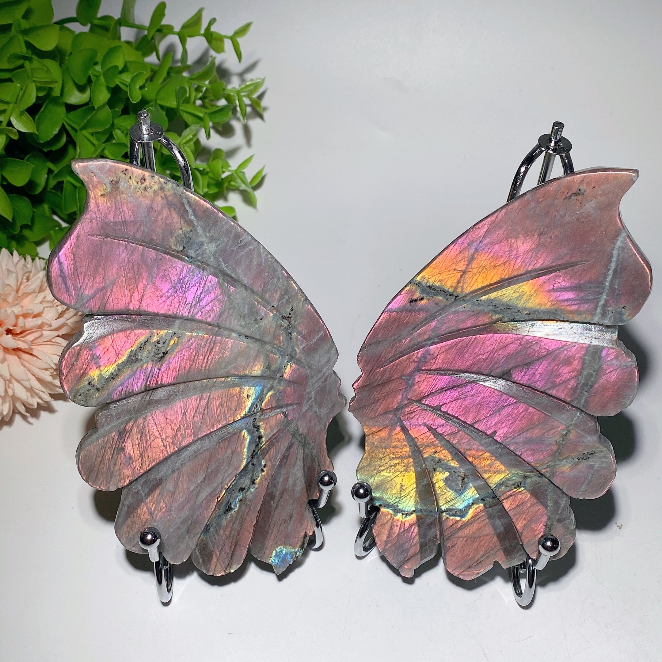 6-inch Labradorite Butterfly Wings Crystal Display Stand