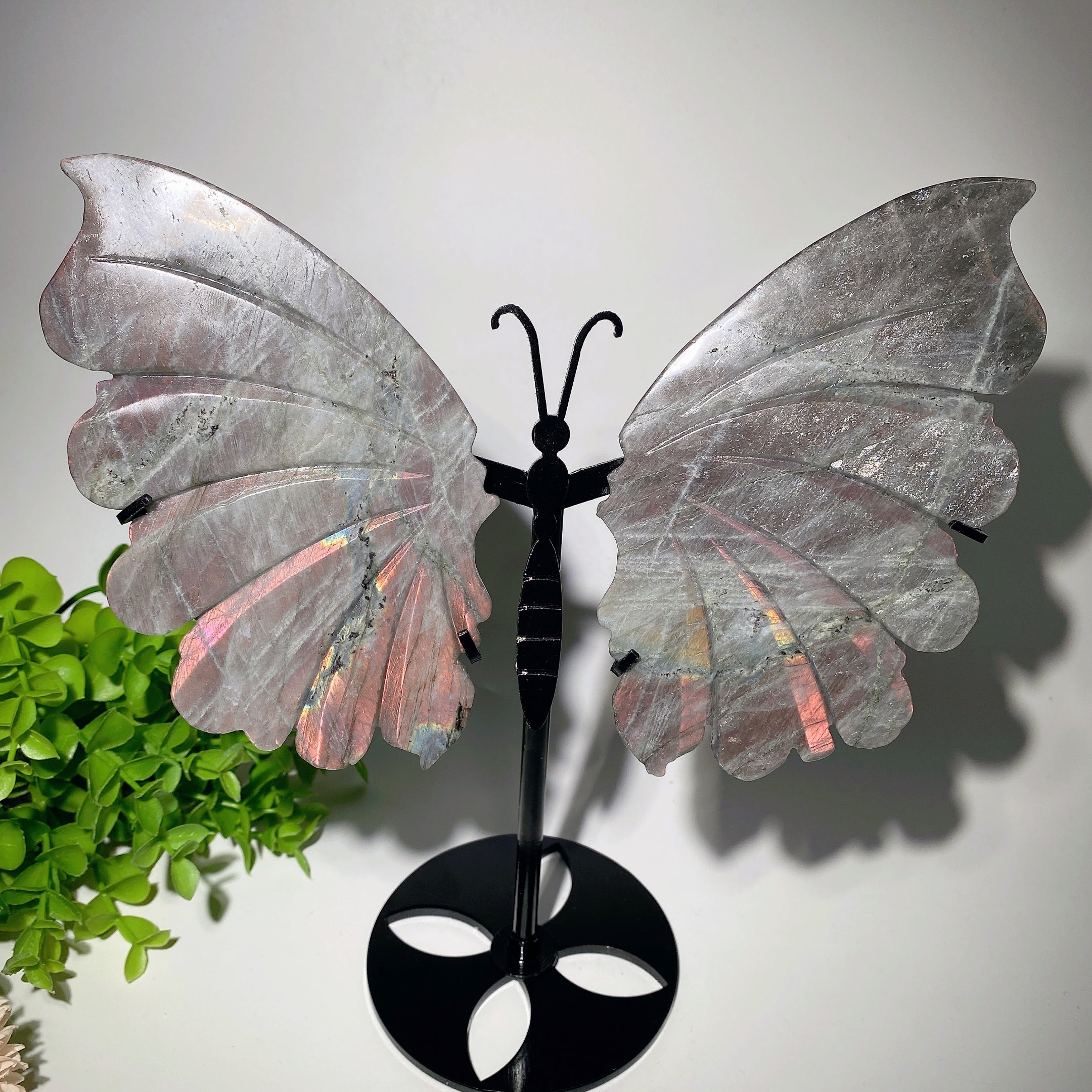 6-inch Labradorite Butterfly Wings Crystal Display Stand