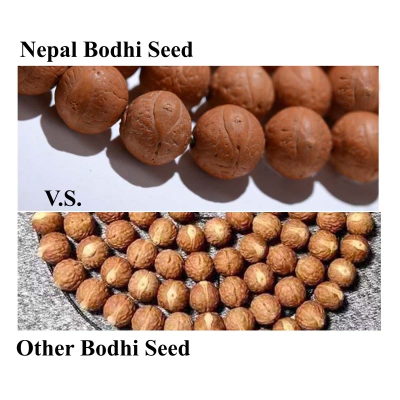 108 Beads Bodhi Seed Mala Bracelet Unisex Meditation