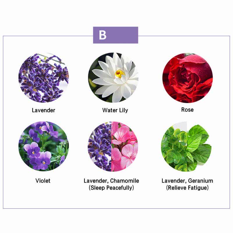 Coffret de 6 huiles essentielles d'aromathérapie pour la guérison | Sons de guérison