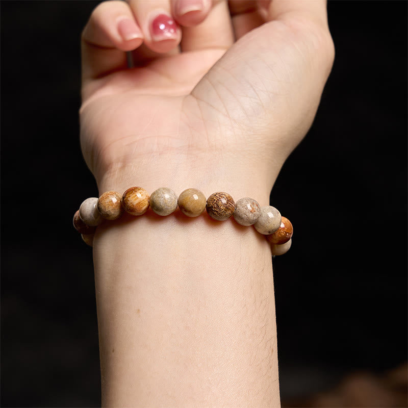 Bracelet de compassion en corail fossile de 8 à 9 mm pour l'estime de soi et la force