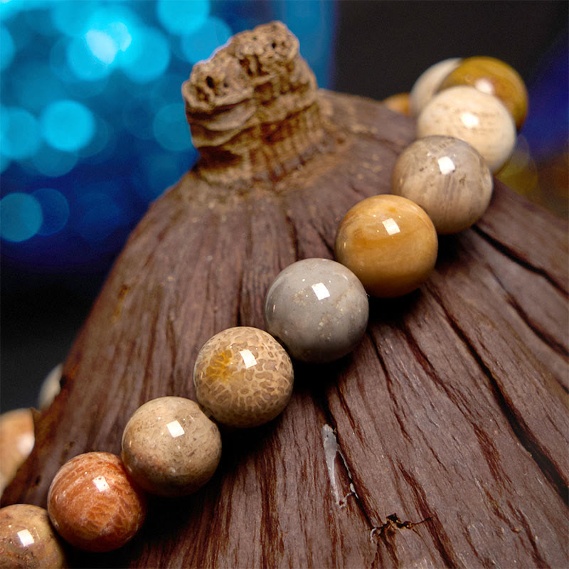 Bracelet de compassion en corail fossile de 8 à 9 mm pour l'estime de soi et la force