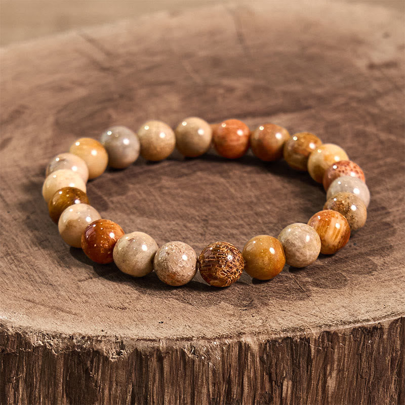 Bracelet de compassion en corail fossile de 8 à 9 mm pour l'estime de soi et la force