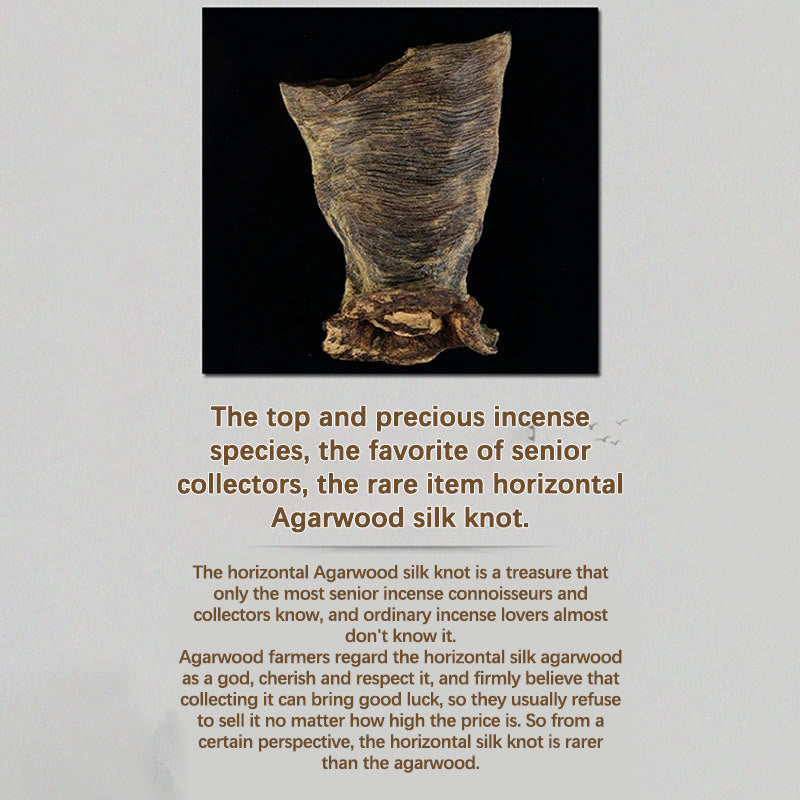 Bracelet Mala Strength en bois d'agar de Brunei, 108 perles de 8 mm