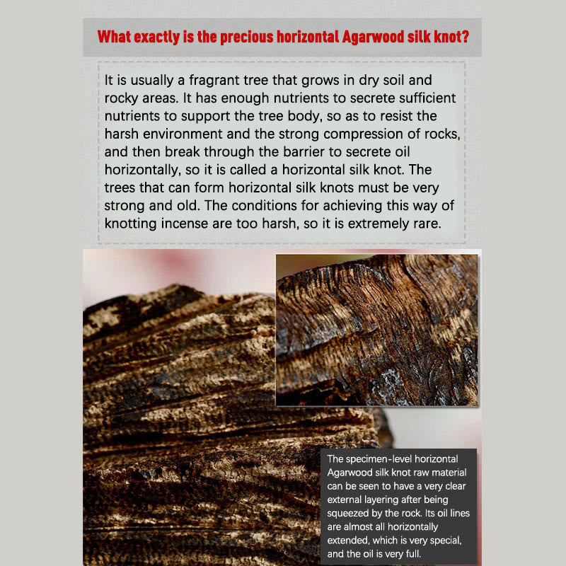 Bracelet Mala Strength en bois d'agar de Brunei, 108 perles de 8 mm