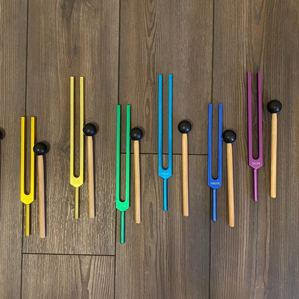 8pc Chakra Tuning Fork Set - Bio-Field Therapy with Pouches & Strikers - On sale