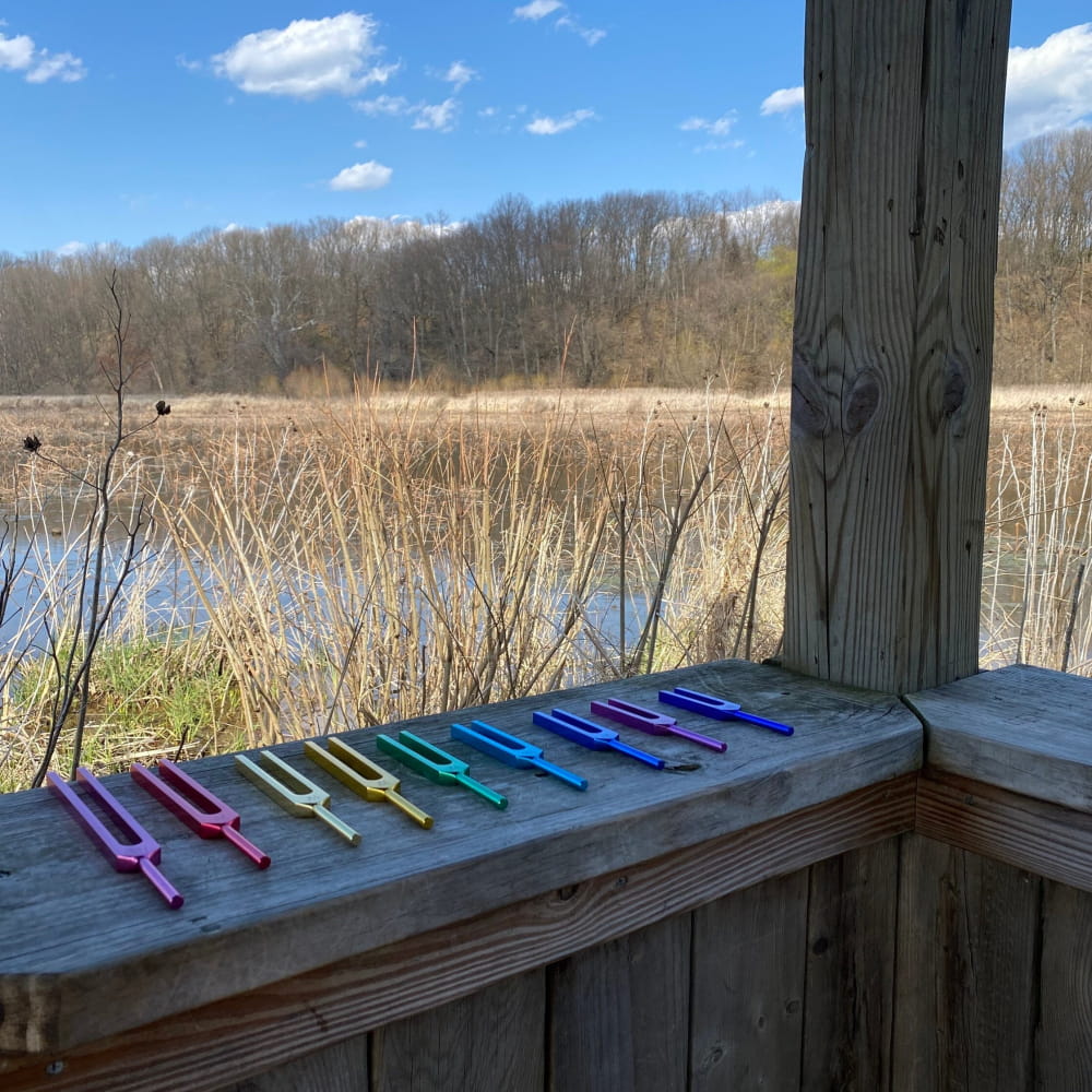 9 Solfeggio Frequencies Tuning Fork Set with Bags & Strikers - On sale