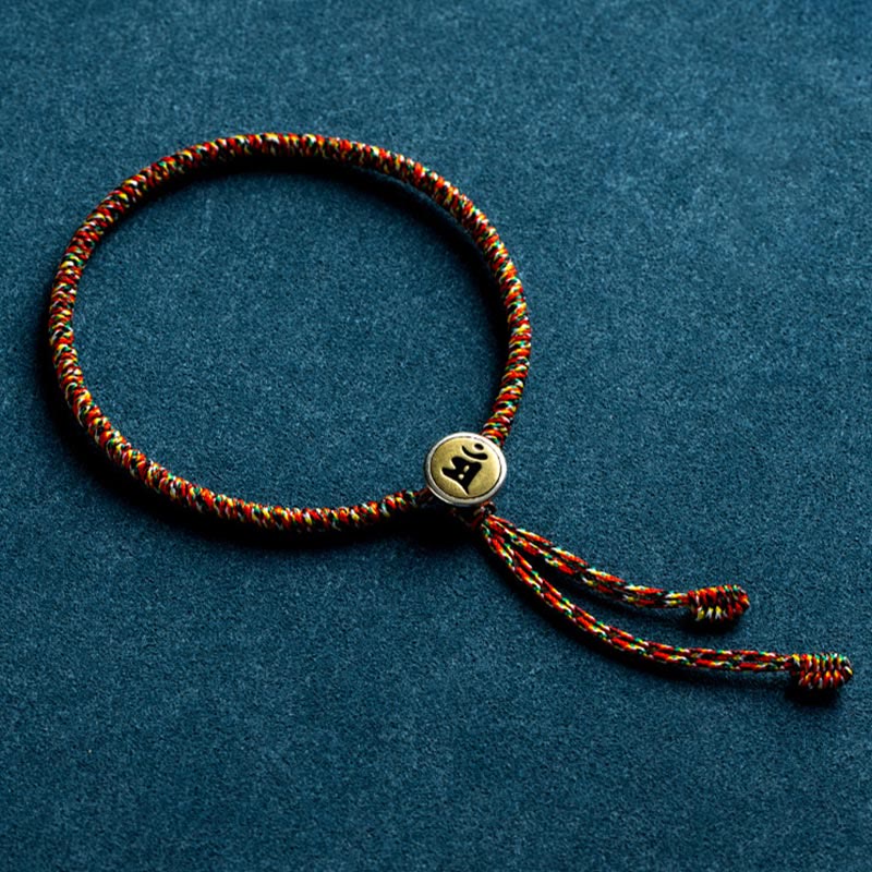 Bracelet de protection du zodiaque chinois en argent sterling 925 15 cm