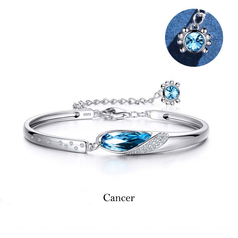 925 Silver Plated Copper Chinese Zodiac Charm Bracelet with Blue Crystal