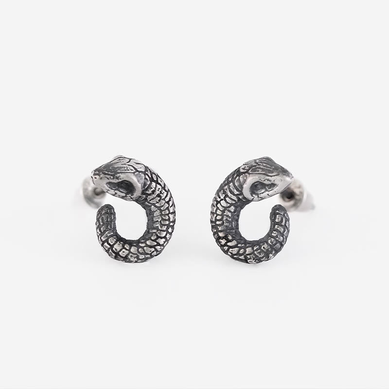 Boucles d'oreilles en argent sterling 999, texture serpent, protection de l'année du serpent