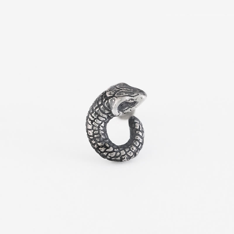 Boucles d'oreilles en argent sterling 999, texture serpent, protection de l'année du serpent