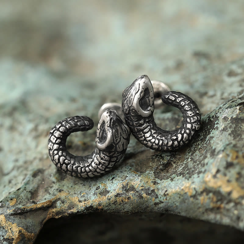 Boucles d'oreilles en argent sterling 999, texture serpent, protection de l'année du serpent