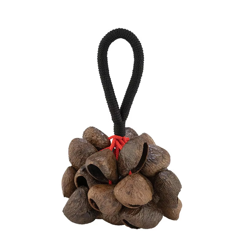 Pearl Nut Wind Ring Tone Bundle the Shell Rattle Fruit African Drum Accompaniment Hand Ringtone Healing Profession Instrument