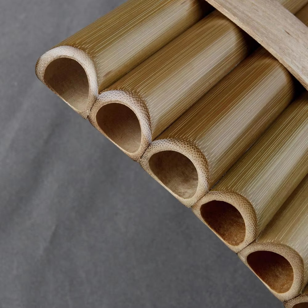 Cut bamboo poles in a row showcasing hollow cross-sections for Bamboo Pan Flute G Key