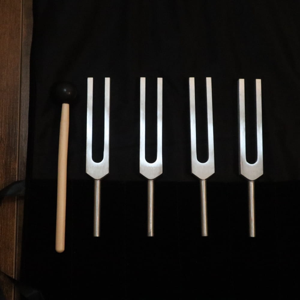 Bio-Field 4pc Tuning Fork Set.25 Hz Sound Vibration Velvet Bag - On sale