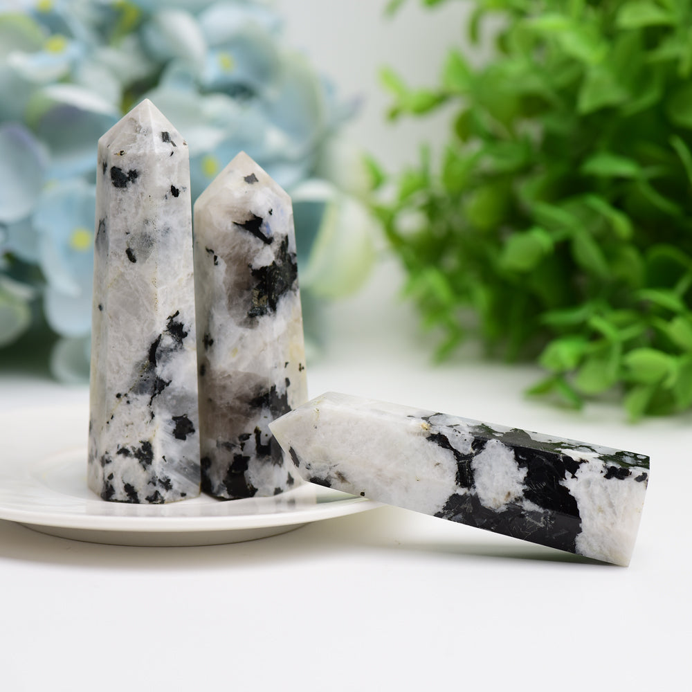 Black Moon Stone Crystal Point 2.5-4.5 Inch Healing