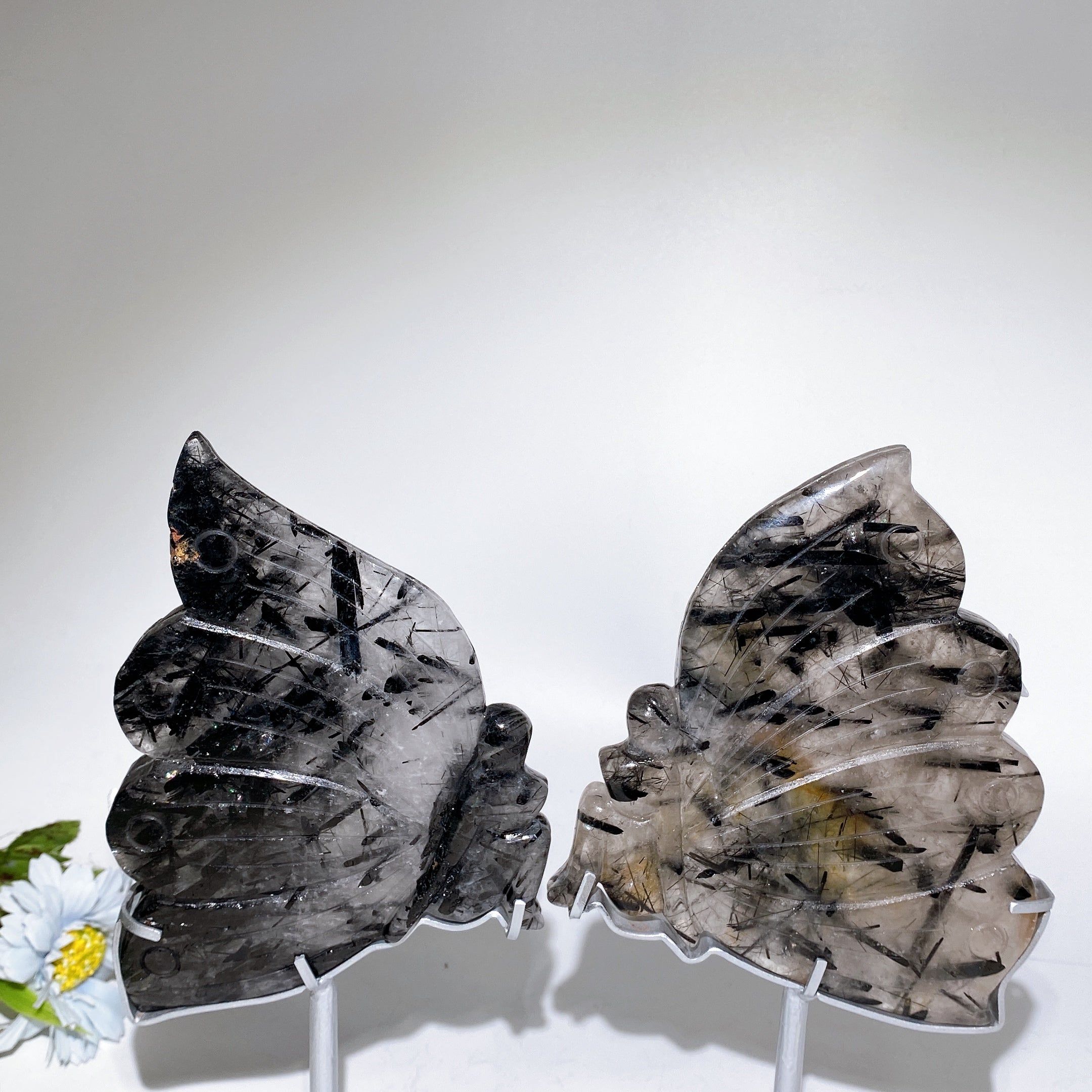 Black Tourmaline in Quartz Butterfly Figurine 6.2" Healing Carving