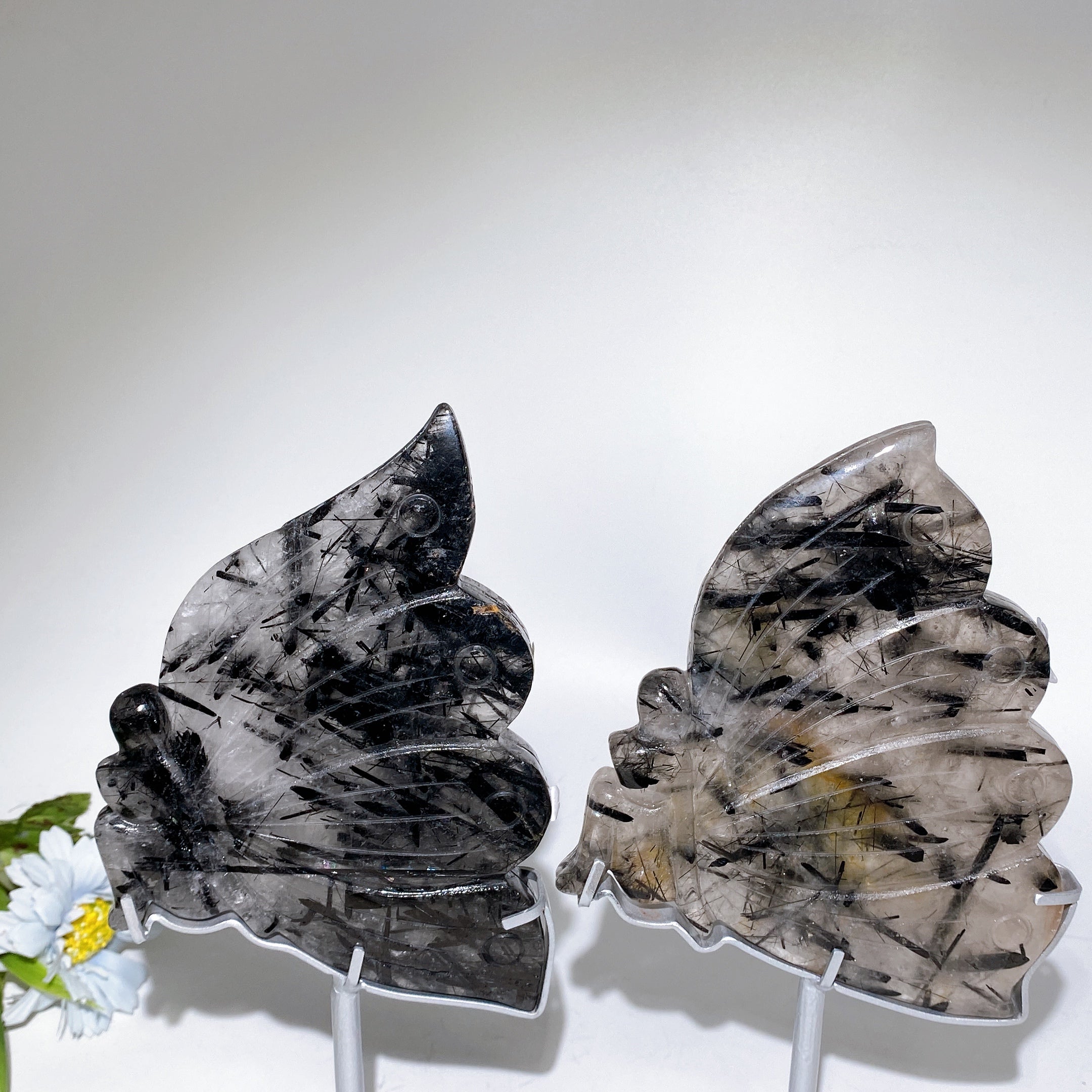 Black Tourmaline in Quartz Butterfly Figurine 6.2" Healing Carving