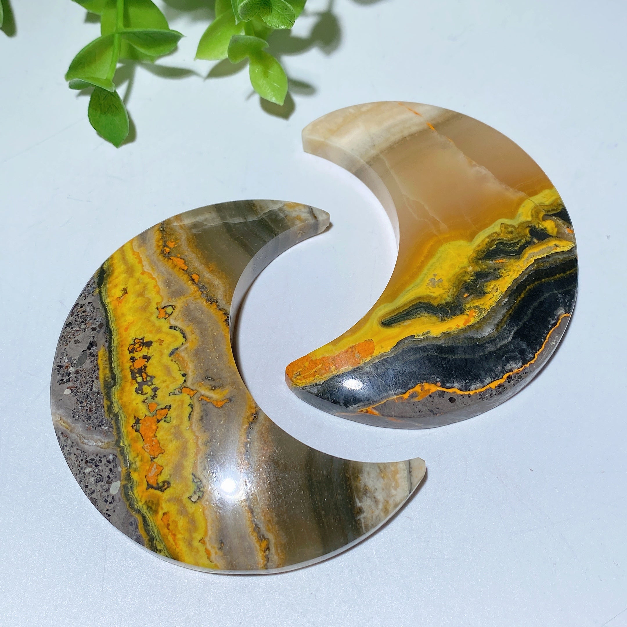 Bumble Bee Jasper Heart and Moon Crystal Shapes