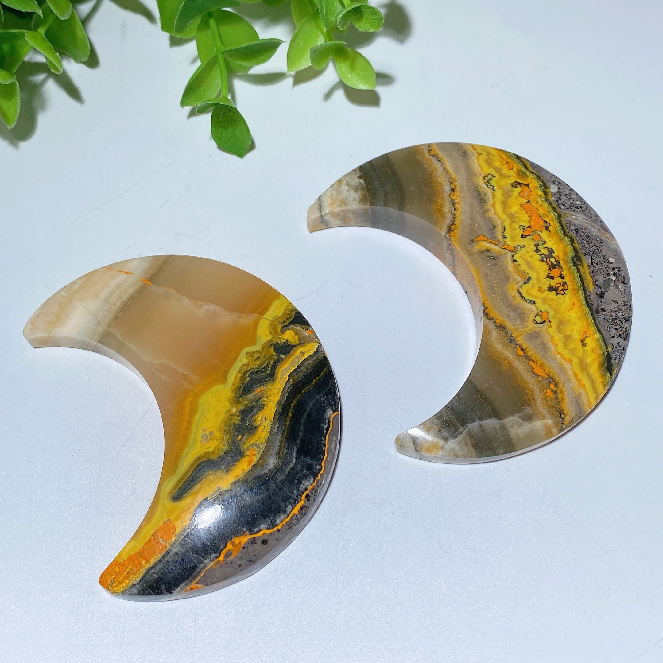 Bumble Bee Jasper Heart and Moon Crystal Shapes