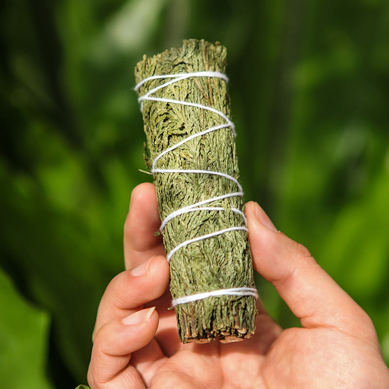Bâtonnet de cèdre pour les rituels de purification et de méditation de la maison