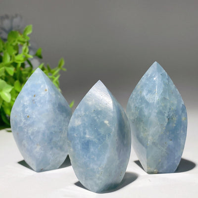 Spécimen de cristal de forme libre de flamme de célestite de 1,8 à 2,8 pouces