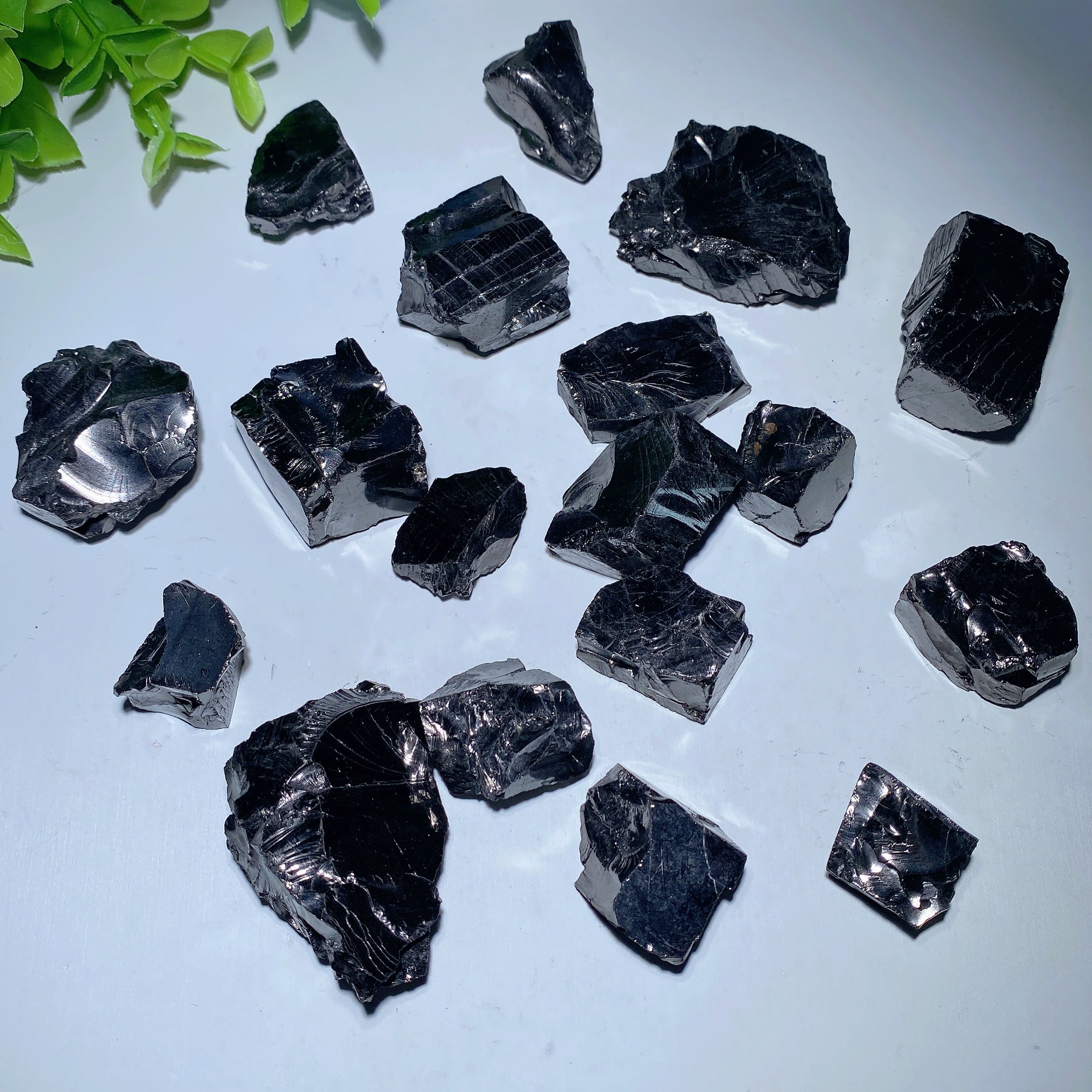 Columbia Elite Noble Schungite Raw Chunks 20-60mm Healing Stones