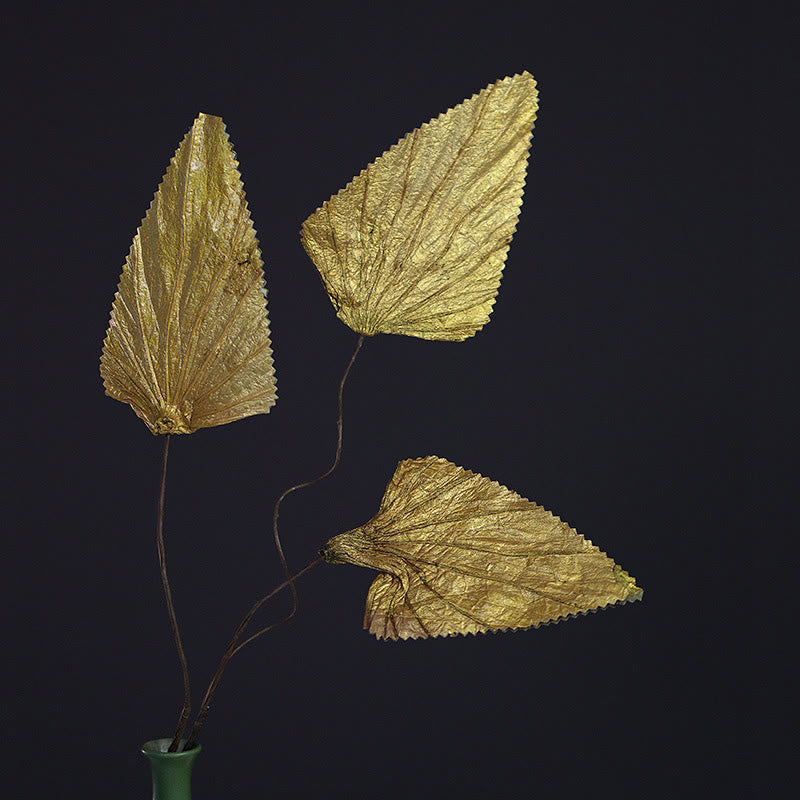 Bouquet de feuilles de lotus séchées pour une décoration d'intérieur zen