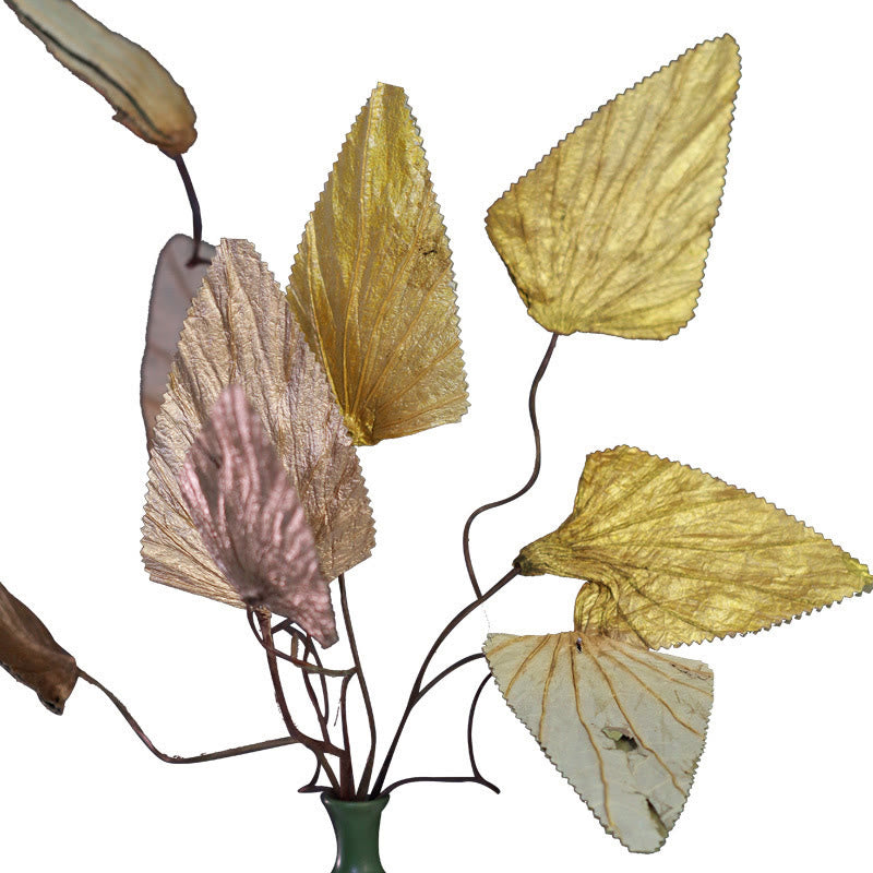 Bouquet de feuilles de lotus séchées pour une décoration d'intérieur zen