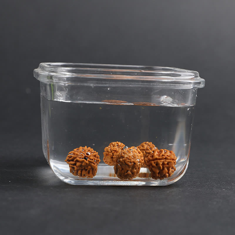 Unisex Pixiu Wealth Luck Bracelet with Rudraksha Bodhi Seed