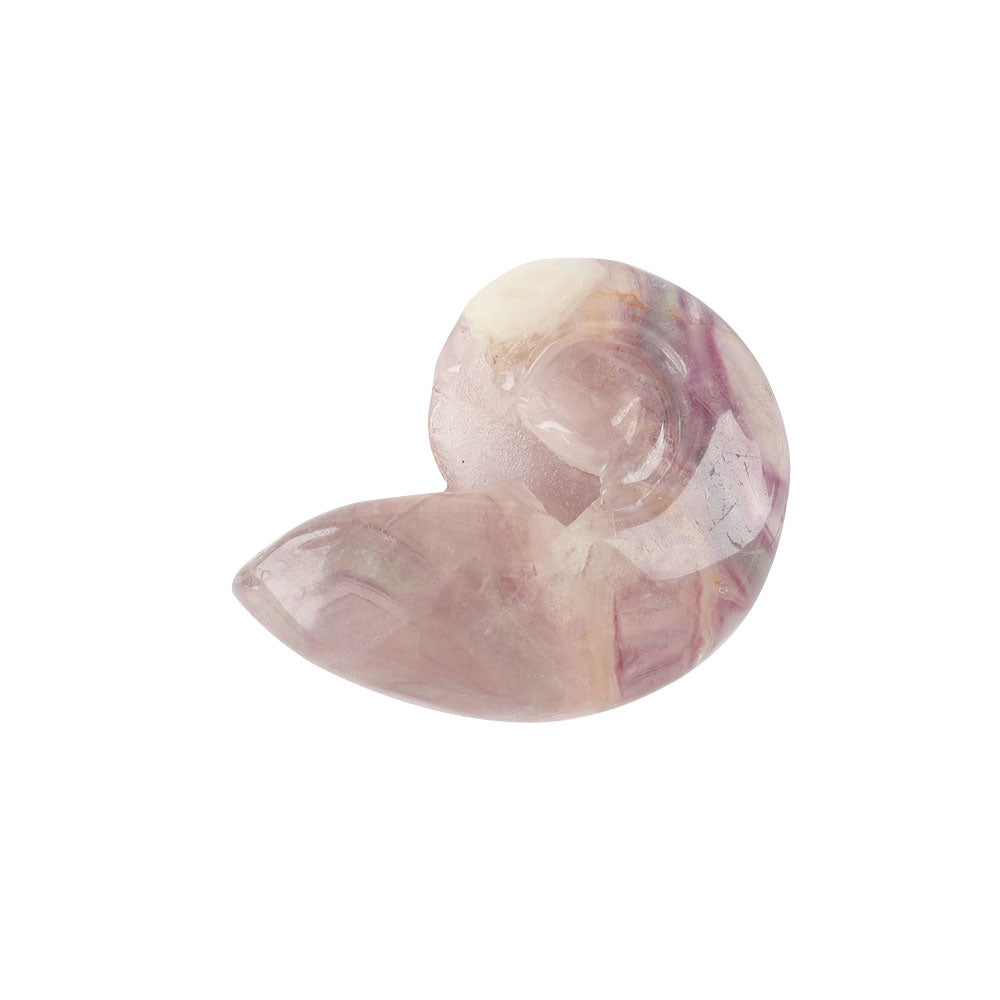 Fluorite Crystal Snail Shell Carving 1.92" Hand-Carved Figurine