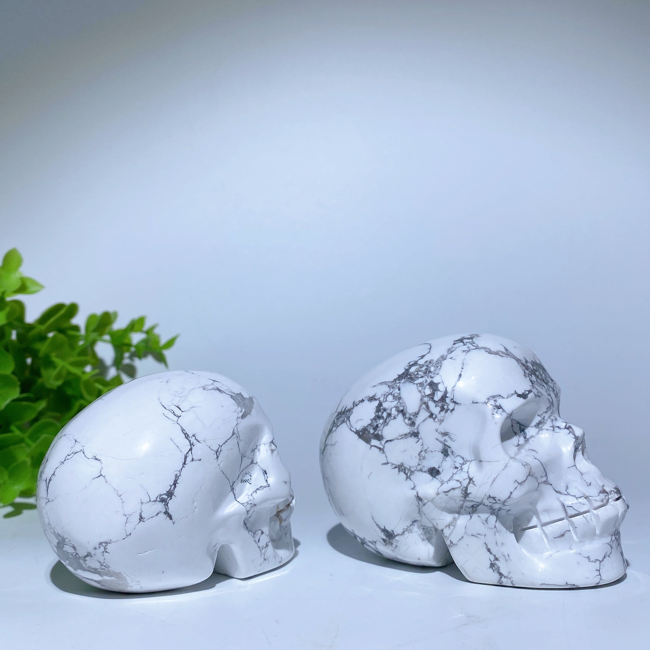 Hand-Carved Howlite Crystal Skull for Spiritual Healing
