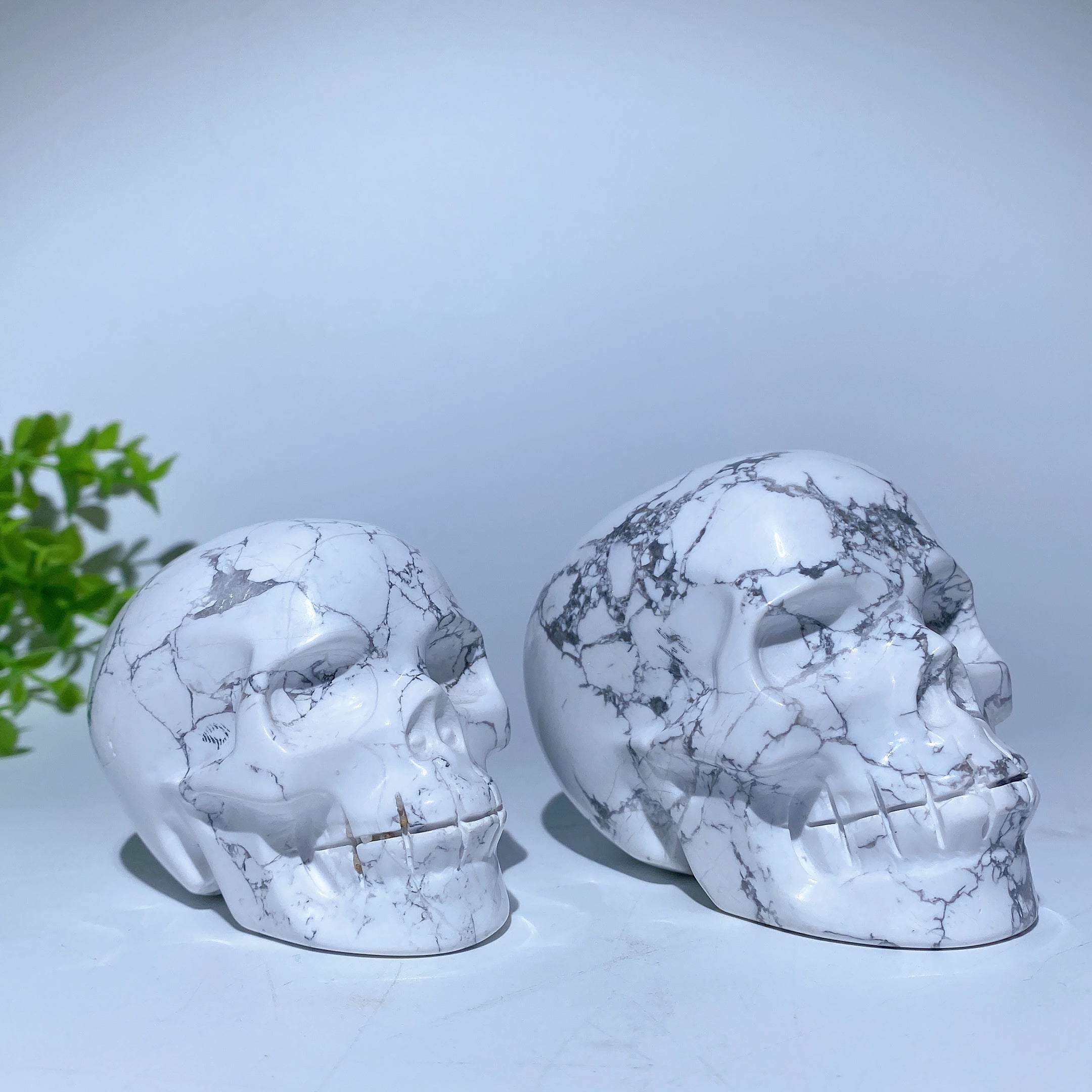 Hand-Carved Howlite Crystal Skull for Spiritual Healing