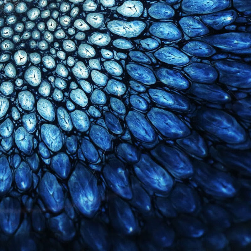 Tasse à thé en céramique Jianzhan à pois bleus Francolinus faite à la main, 110 ml