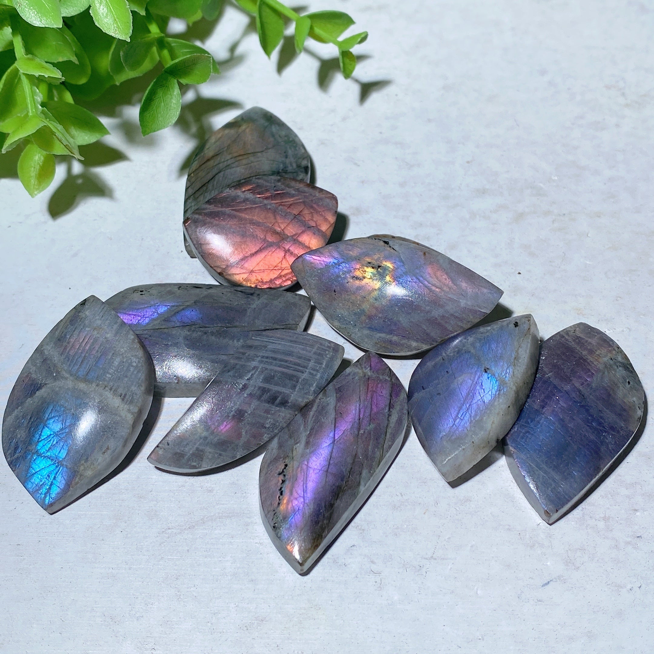 Labradorite Palm Stone 1.0-2.0 Inch Healing Crystal